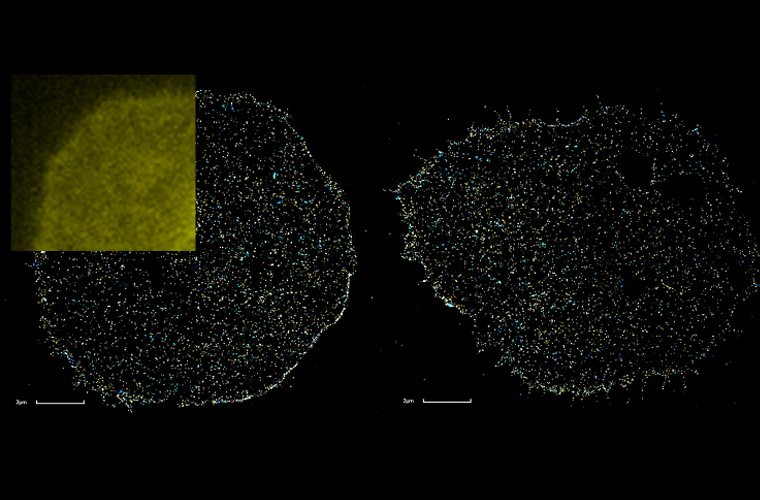 Singh Lab