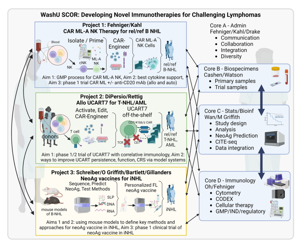 WashU SCOR: Developing Novel Immunotherapies for Challenging Lymphomas graphic